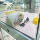 조르바가죽공방