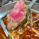 해바라기 애견 이미지