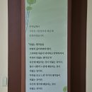 (주)대웅 파나시아점 | 2026 부산 삼광사 연등축제 총정리 부처님오신날 꼭 가봐야할 부산 야경 명소