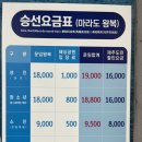 마라도여행 별장식당 짜장면 먹으로 다녀온 후기 / 마라도여객선