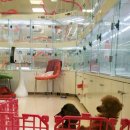 홈플러스 청라점(아이러브펫) 이미지