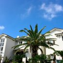 빨강궁전 이미지