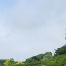 태산목장 이미지