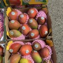 애플망고 이미지