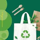 그린화이트세탁 이미지