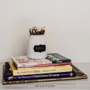 김해외국어고등학교 이미지