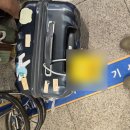 미국 여행 트레이더조 기념품 에브리띵 베이글말고 반입되는 시즈닝은 에브리데이시즈닝 위드 글라인더