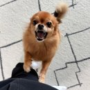 연원14길 14, (연수동) | 2025-2026