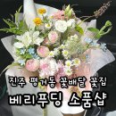 수정초등학교 | 진주 꽃집 추천 평거동 꽃다발 베리푸딩 무인픽업후기