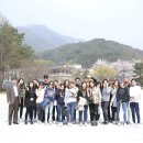 사과나무치과병원 이미지