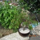 백운산가든 이미지