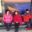 고한읍사무소 이미지