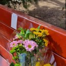 부평우일 이미지