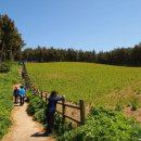 김유곤농장 이미지