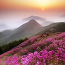 천주산 등산로 이미지