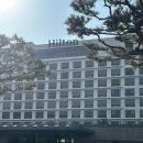 호텔 레이크 | 경주 힐튼호텔 뷔페 레이크사이드 런치 솔직후기 내돈내산