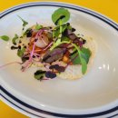 노이마레 이미지