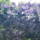 평리6동 행정복지센터 이미지