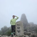 [공지] #28 ☆강원 산 추천☆ 치악산 여행/ 등산 &amp; 마음 끄적임♡