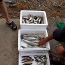 시골촌놈 이미지