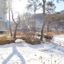 리치부동산공인중개사사무소 이미지