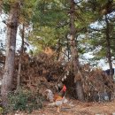 금강산흑염소전문점 이미지