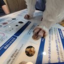 금빛동물수술센터 이미지