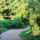 명옥헌원림2(입구) 이미지