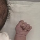 한국전력 관악동작지사 | 동작관악 사임당 산후도우미 3일만에 해지한 후기(긴글주의)