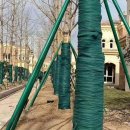 나무마당 이미지