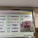 네일리솜뷰티