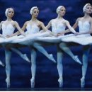 서울시티발레단 백조의 호수 이미지