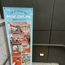 좌삼 | [홍대놀거리] 홍대 신상 고양이카페 뤂캣미 방문 후기 (ft.내돈내산)