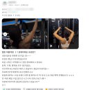 Hellene (헬린) | 마들역PT, 잘하기로 입소문이 자자한 헬린 마들역점!