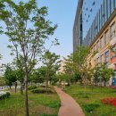 오적회관평택고덕점 | 오징어볶음 천국 오적회관 평택 고덕점 방문 후기! 돌판 오징어를 아시나요?