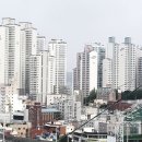 3098 동행미디어 시대