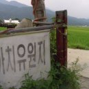 까치울 이미지