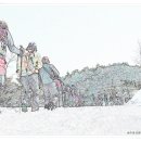 명품소나무길 이미지