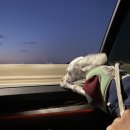 남당 달빛펜션 이미지