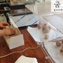 함양과자점 네이버블로그
