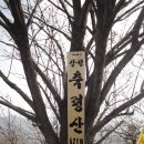 장성-09 이미지