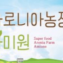 아미원 이미지