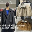 (주)세일글로발 | 2025년 12월 자라 겨울 세일 기간 예측ㅣ코트, 가방, 니트 위시리스트 후기까지~!