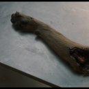 메이 (May) 이미지