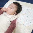 하이벨몽 이미지