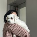 진아세탁 이미지