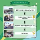송탄시장 이미지