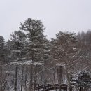 대안목장 | [강원도 대관령] 삼양목장 카페 메뉴·라면 종류·가격 총정리(눈 오는 날 아이랑 가볼만한곳 방문 팁)