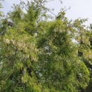 유수정행정사사무소 이미지