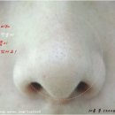 온뜨레